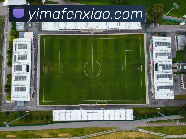 多媒体互动体验